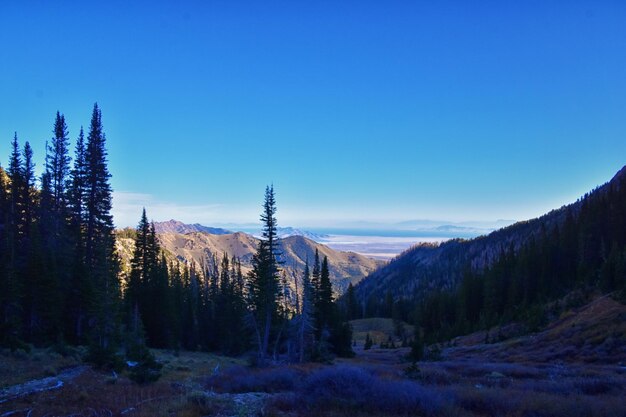 Deseret peak wilderness stansbury mountains by oquirrh mountain range rocky mountains utah united states