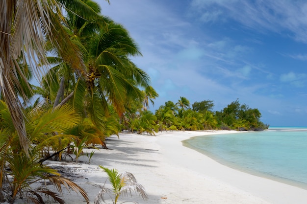 Desert beach on a remote island, Aitutaki atoll, Cook Islands