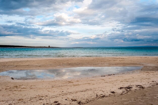 Desert beach in winter noon