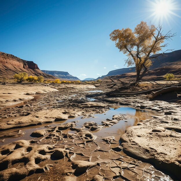 Desert cracked