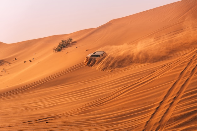 Desert Dune Bashing