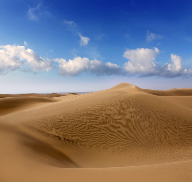 Dune del deserto di sabbia a maspalomas gran canaria