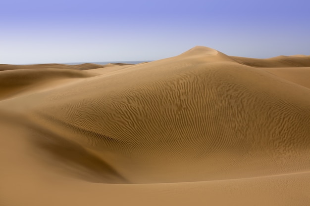 Dune del deserto di sabbia a maspalomas gran canaria