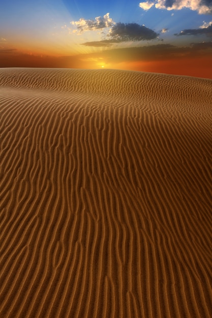 Desert dunes sand in Maspalomas Gran Canaria