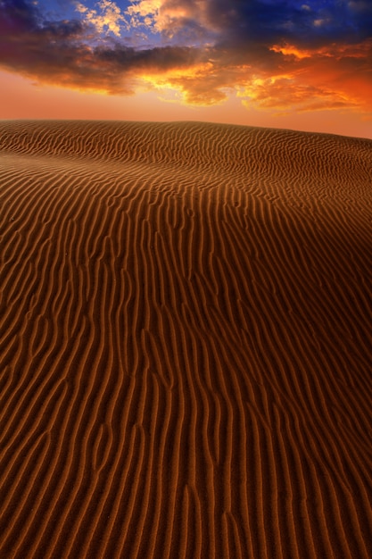 Dune del deserto di sabbia a maspalomas gran canaria