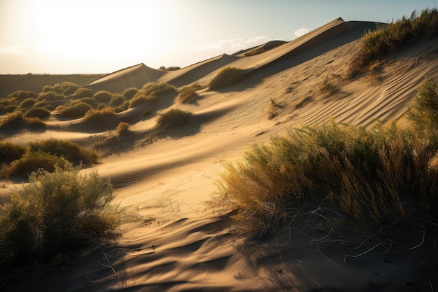 Desert dunes in the sunset with golden light and clouds