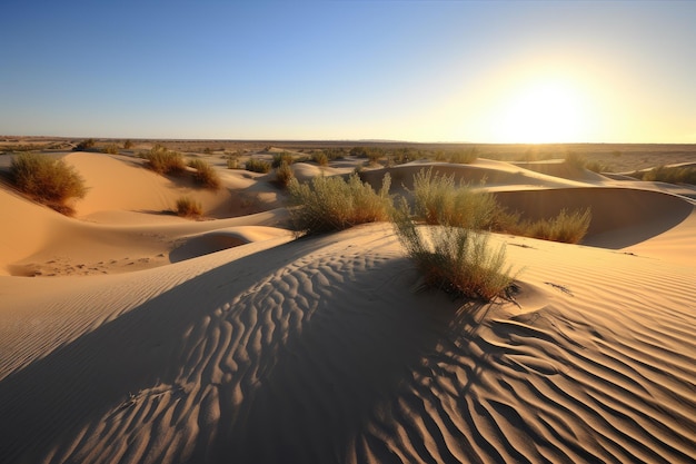 Desert dunes with the setting sun and clear blue sky in the background