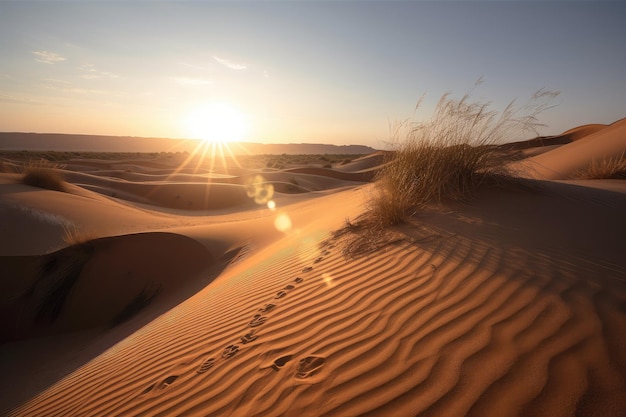 日の出とともに新しい一日と新しい冒険をもたらす砂漠の砂丘