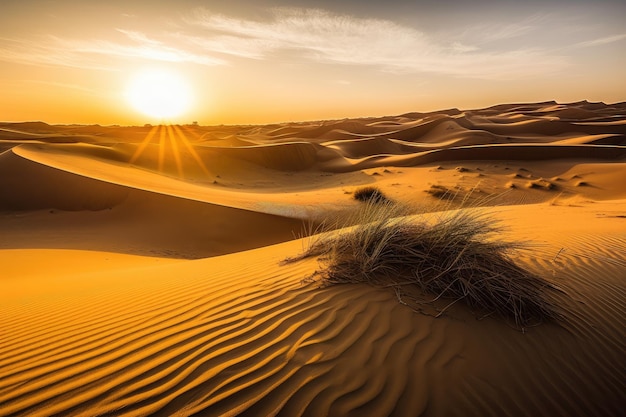 Desert dunes with view of the setting sun creating a warm and golden glow