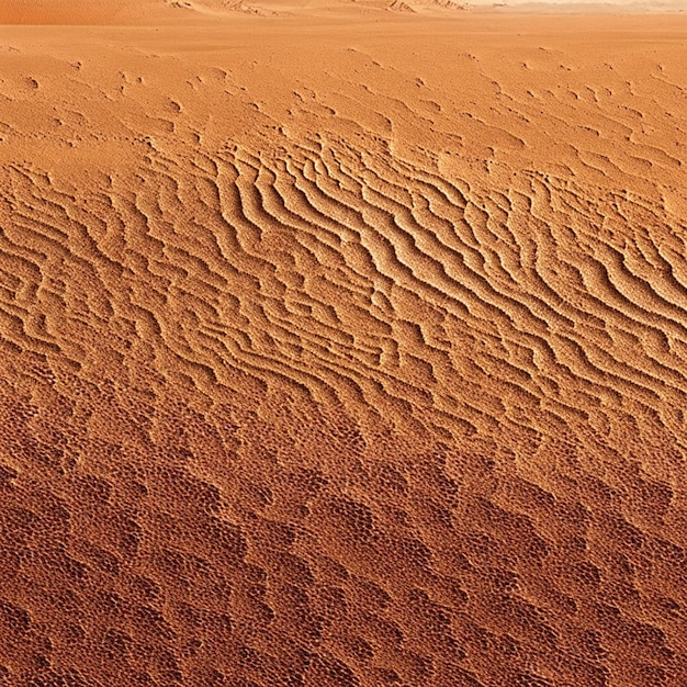 砂漠の地面の壁紙のテクスチャ