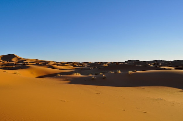 Foto colline desertiche