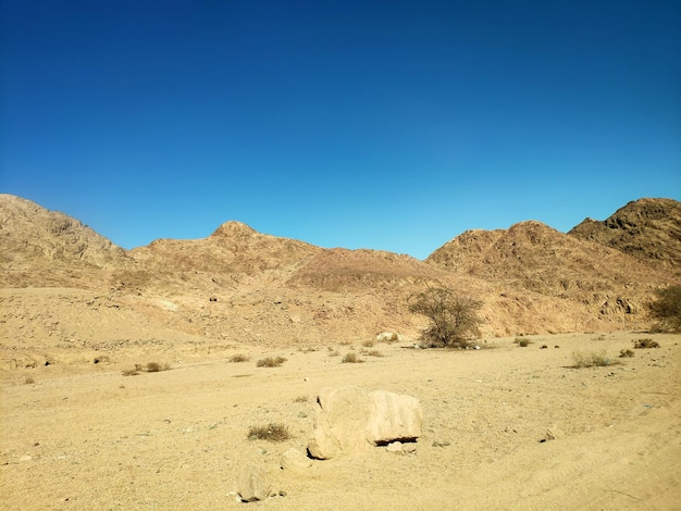 Desert land with mountains and sea