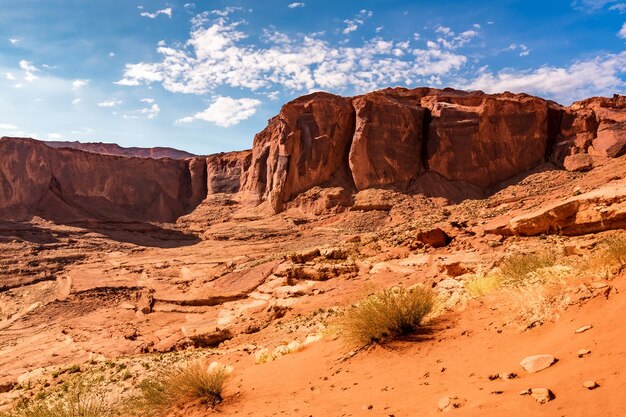 Desert Landscape Background