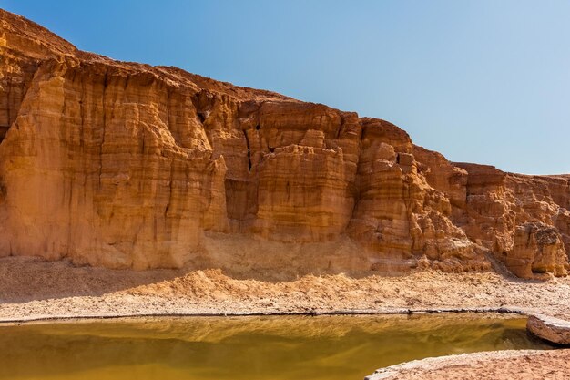 Desert landscape background