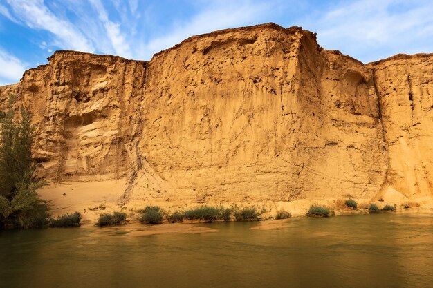 Photo desert landscape background