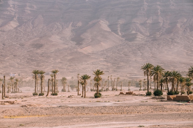 Paesaggio del deserto in marocco