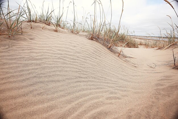 desert landscape / sand desert, no people, dune landscape