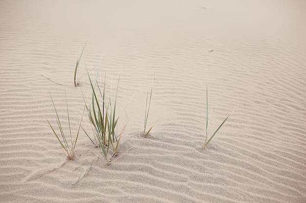 砂漠の風景/砂の砂漠、人がいない、砂丘の風景