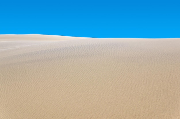 Dune di sabbia del paesaggio del deserto sotto il cielo blu