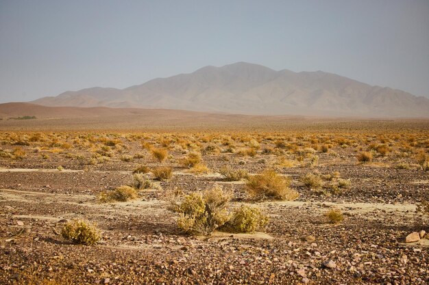 Desert landscape during sandstorm with sandy mountains in distance