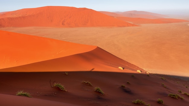 Desert landscape, view of the dunes of Sossusvlei, Namibia