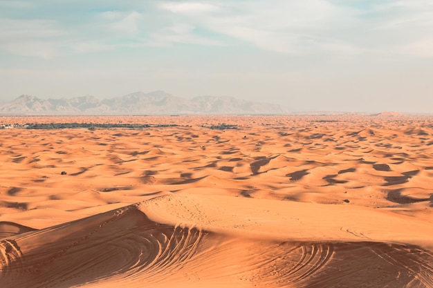 A desert landscape with a mountain in the background