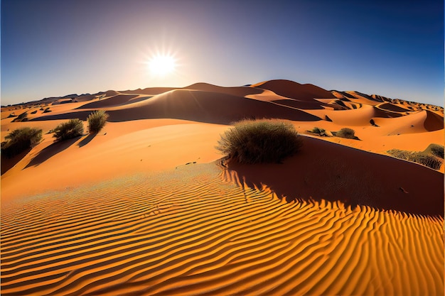 夕日を背景にした砂漠の風景