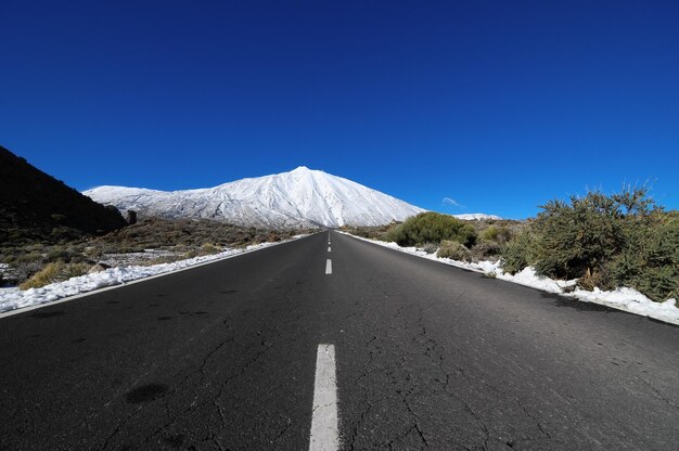 Desert Landscape