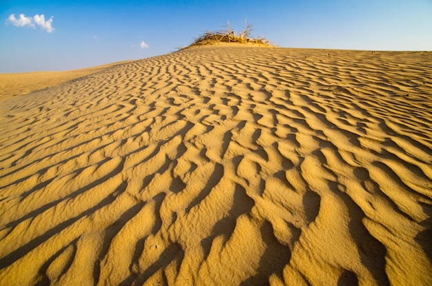 Paesaggio desertico