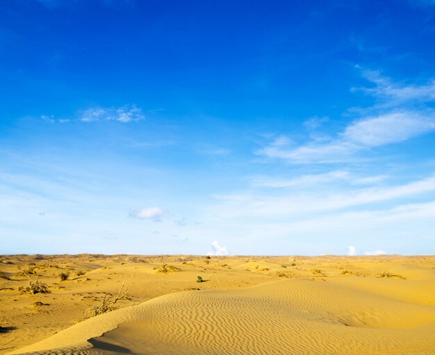 Photo desert landscape