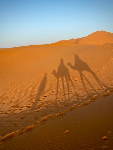 Foto deserto del marocco