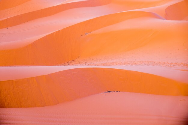 Photo desert of morocco