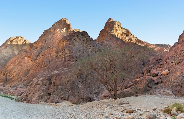 Desert and mountain canyons in Eilat