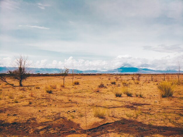 Deserto e la montagna il paesaggio.