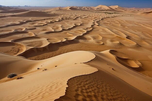 Desert of North Africa sandy barkhans