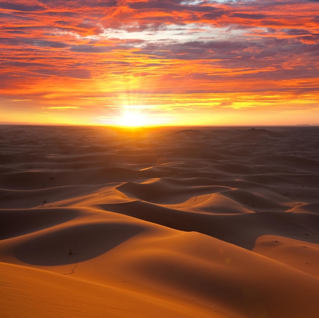 Фото Пустыня на закате