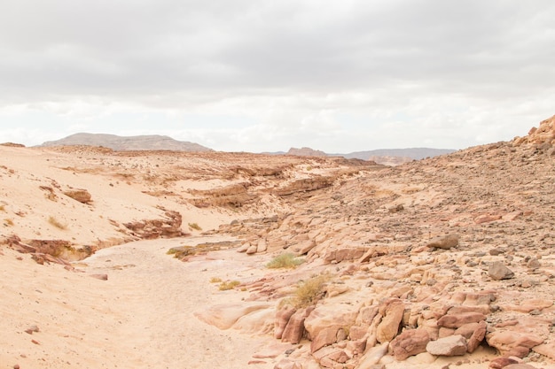 Deserto rosso montagne rocce e cielo nuvoloso egitto color canyon