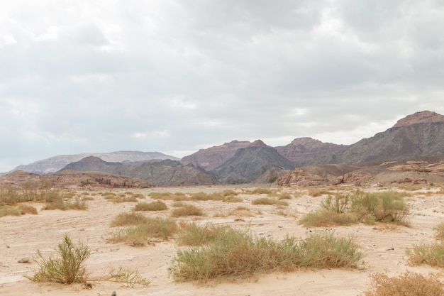 Desert, red mountains, rocks and cloudy sky. egypt, the sinai
peninsula.