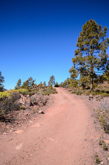 Photo desert road