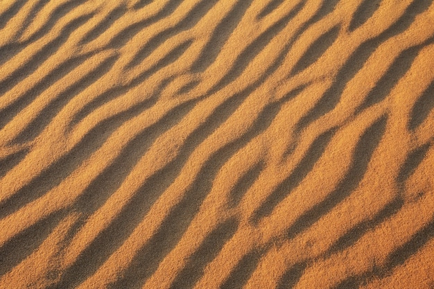 Desert sand background. Gold desert into the sunset