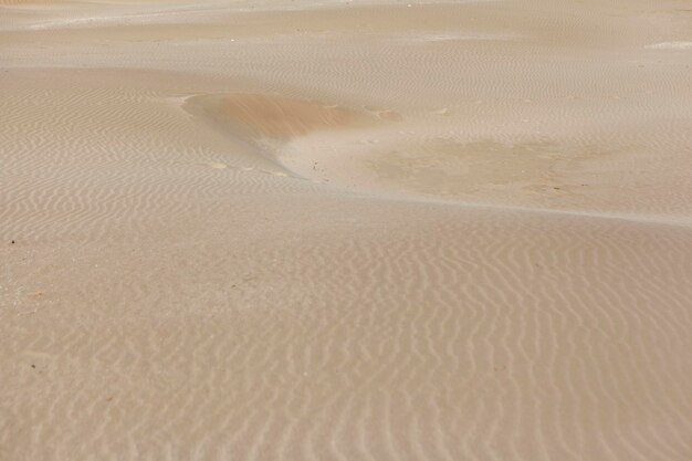 Desert sand dunes background with copy space