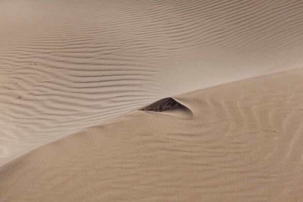 Photo desert sand dunes background with copy space