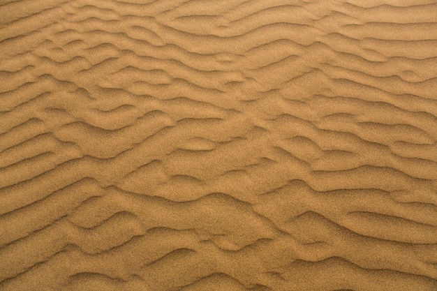 Desert sand dunes in Maspalomas Gran Canaria