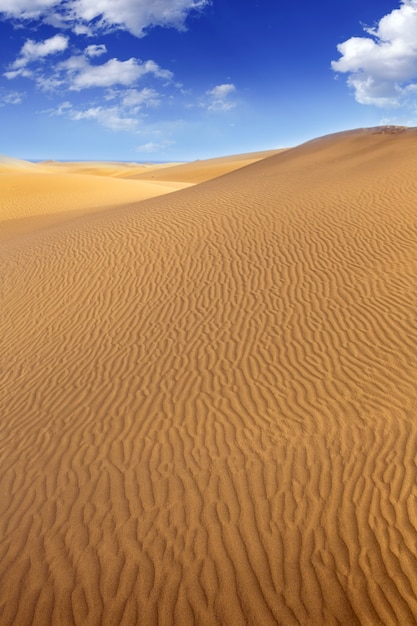 Desert sand dunes in Maspalomas Gran Canaria