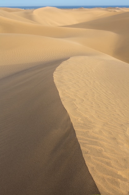 Dune di sabbia del deserto a maspalomas gran canaria