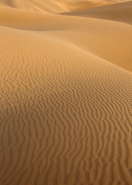 Photo desert sand dunes in maspalomas gran canaria