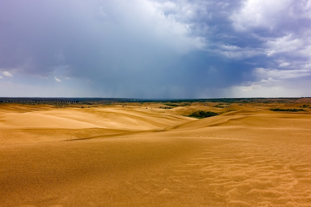 砂漠の砂丘の波紋