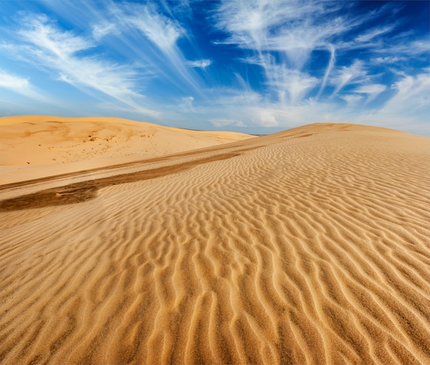 Desert sand dunes on sunrise