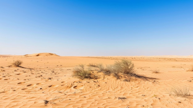 Desert Scene With Blue Sky