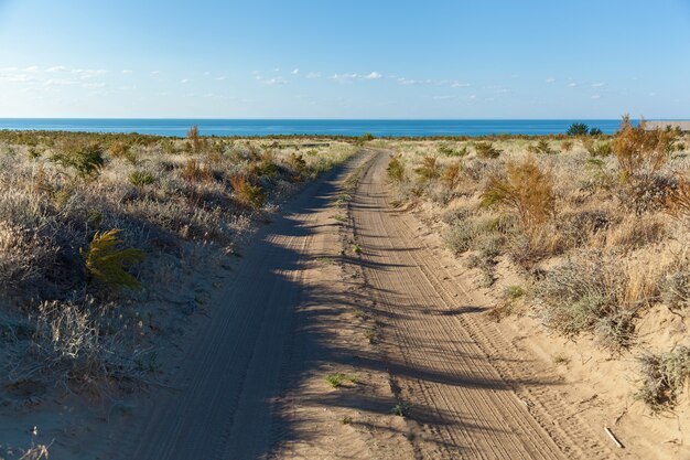 Desert on the shore of sea, bushes, sunny summer day, dirt road to the sea in the desert